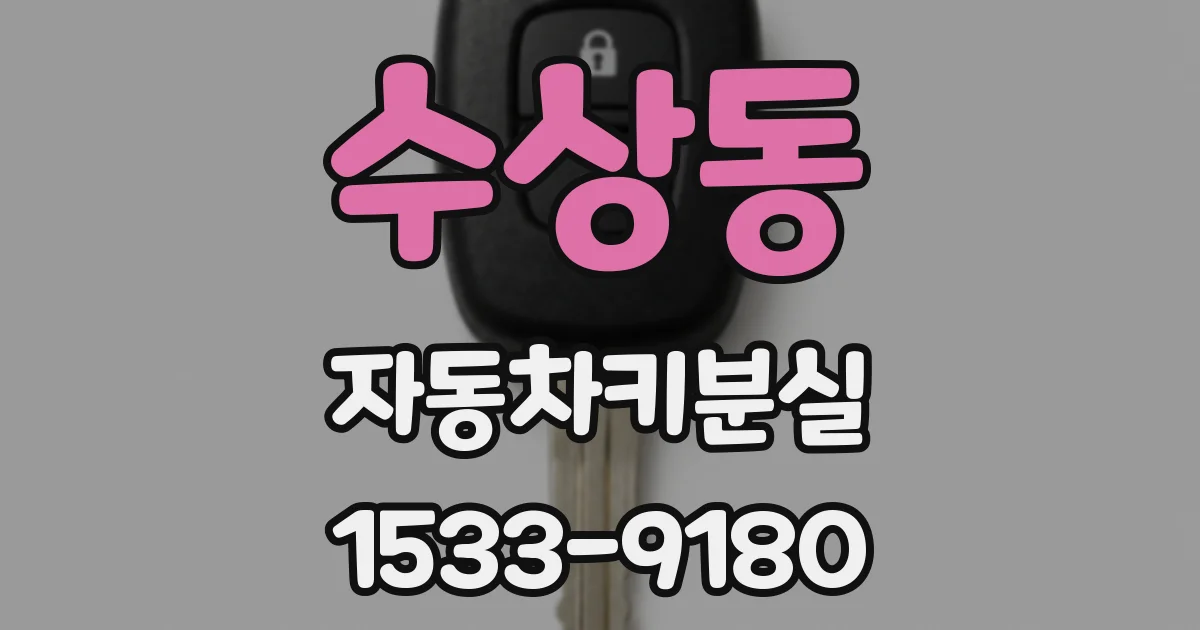 수상동 자동차키분실