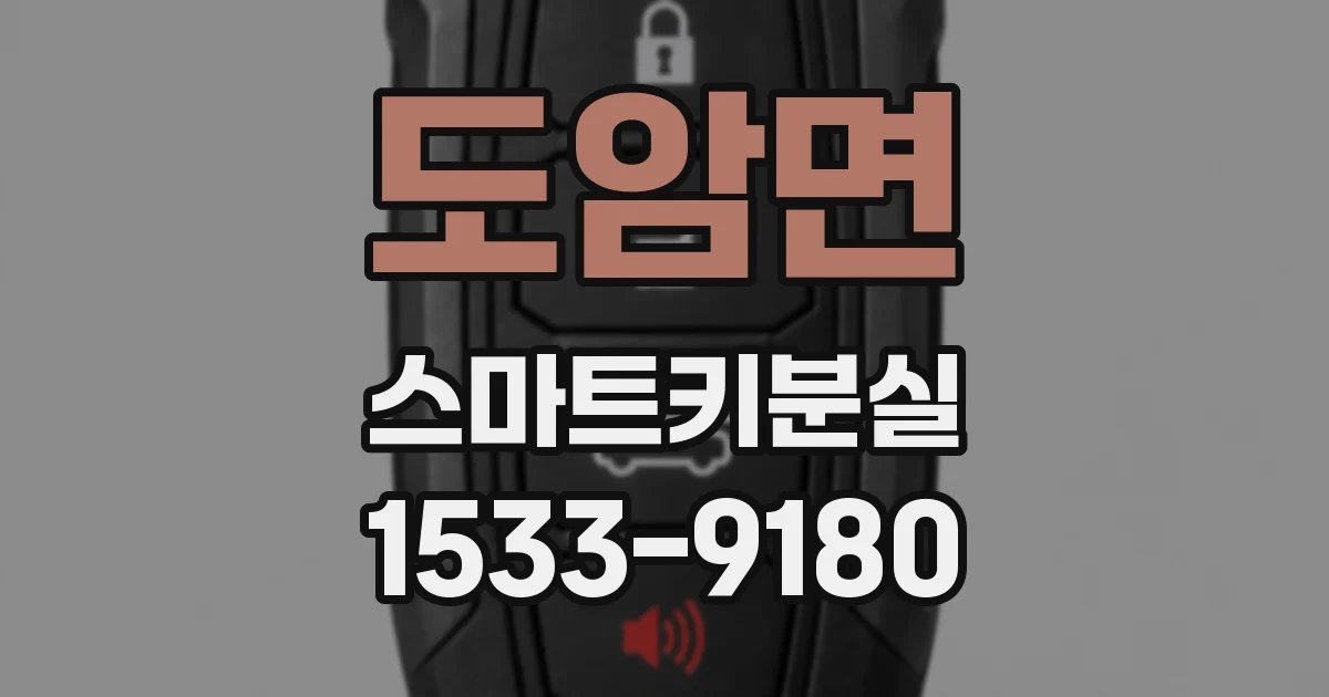 도암면 스마트키분실