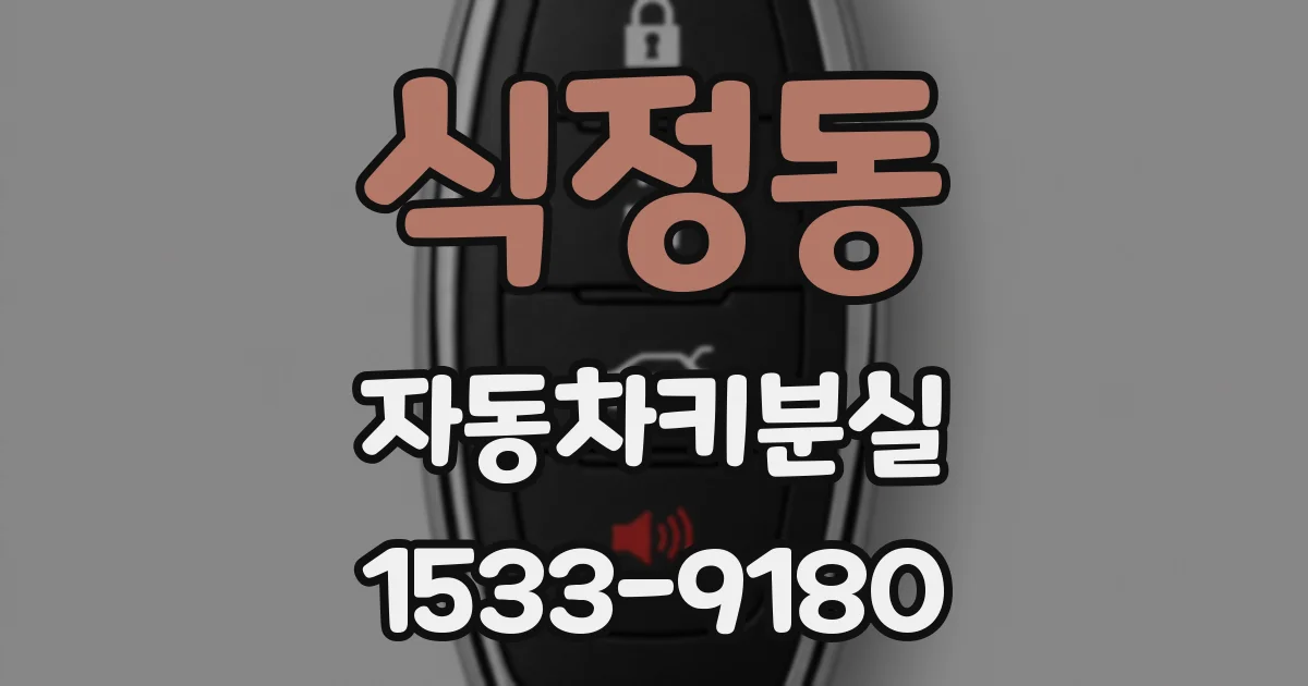 식정동 자동차키분실