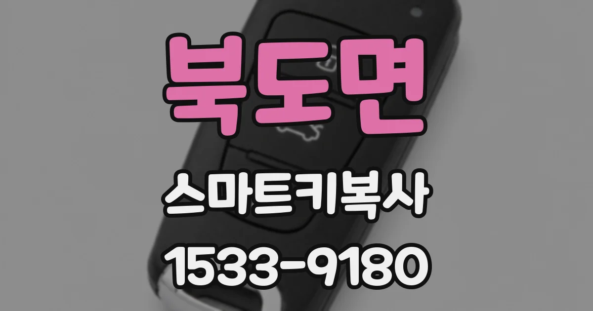 북도면 스마트키복사
