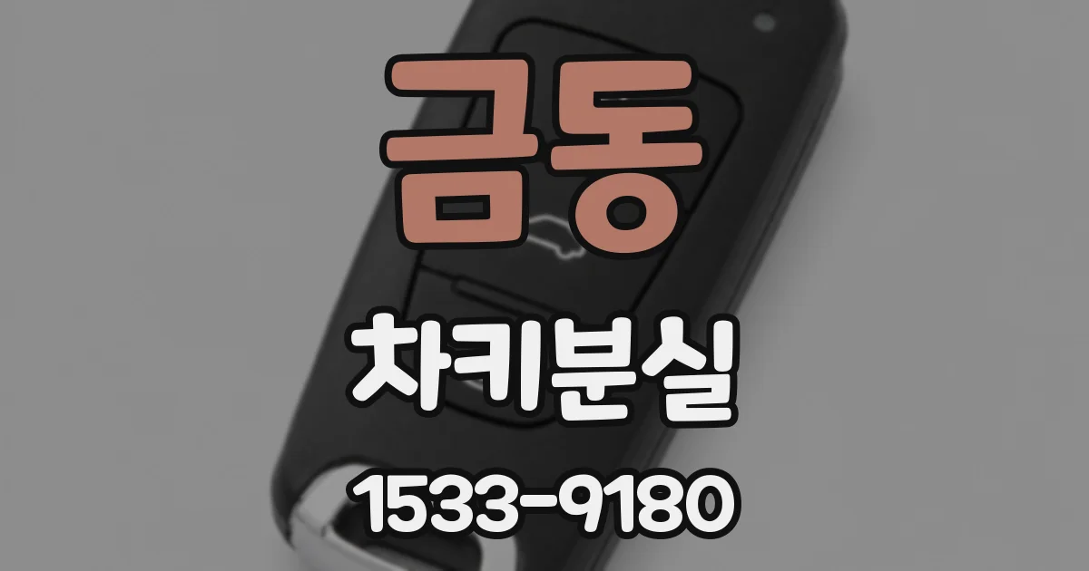 금동 차키분실