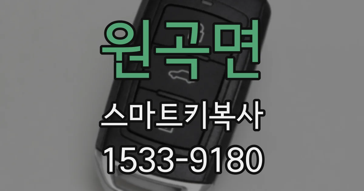 원곡면 스마트키복사