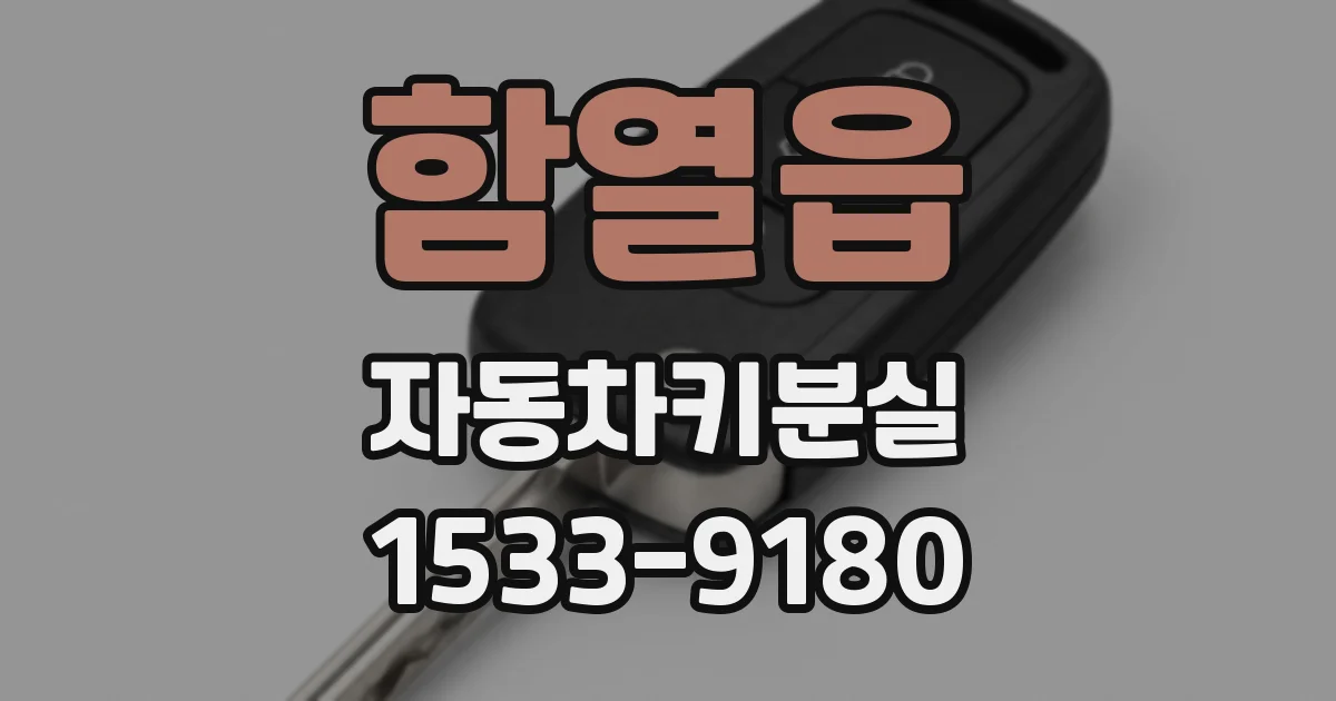 함열읍 자동차키분실