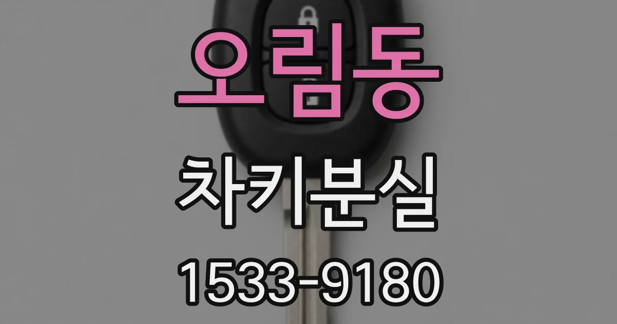 오림동 차키분실