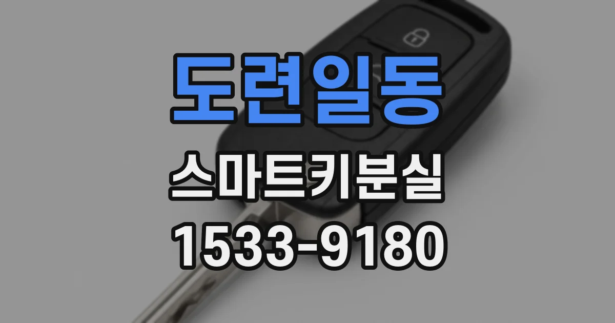 도련일동 스마트키분실