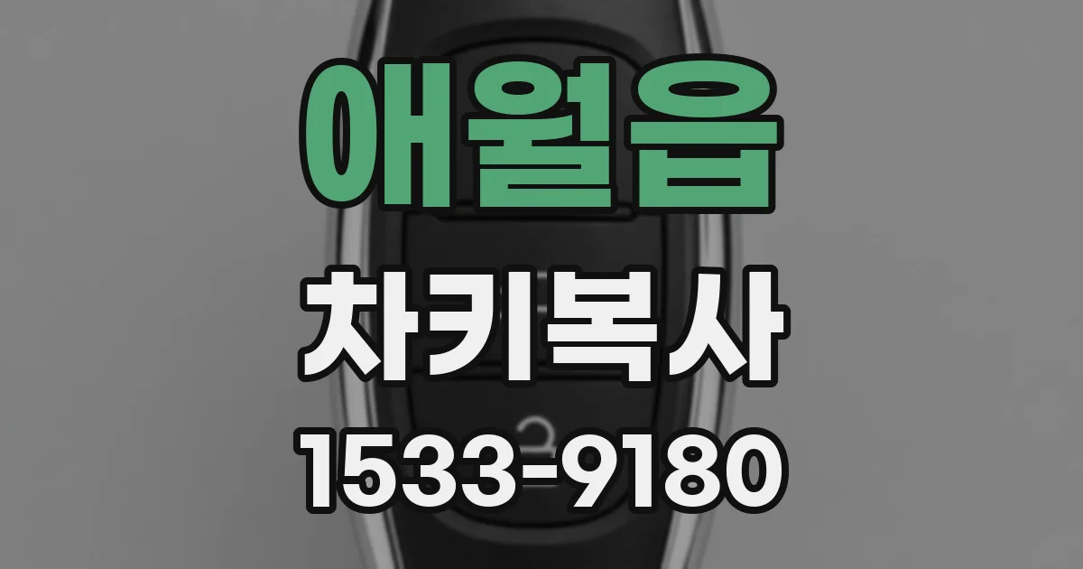 애월읍 차키복사