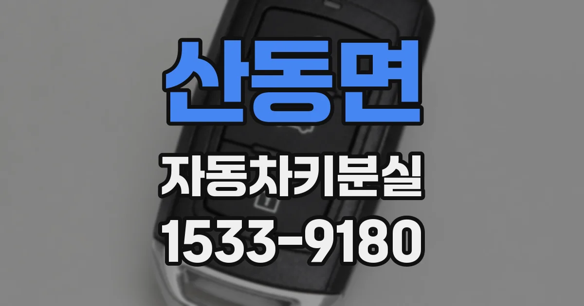 산동면 자동차키분실