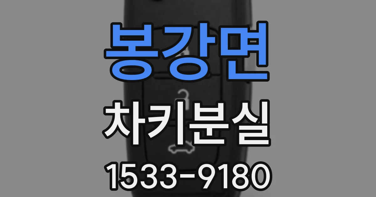 봉강면 차키분실