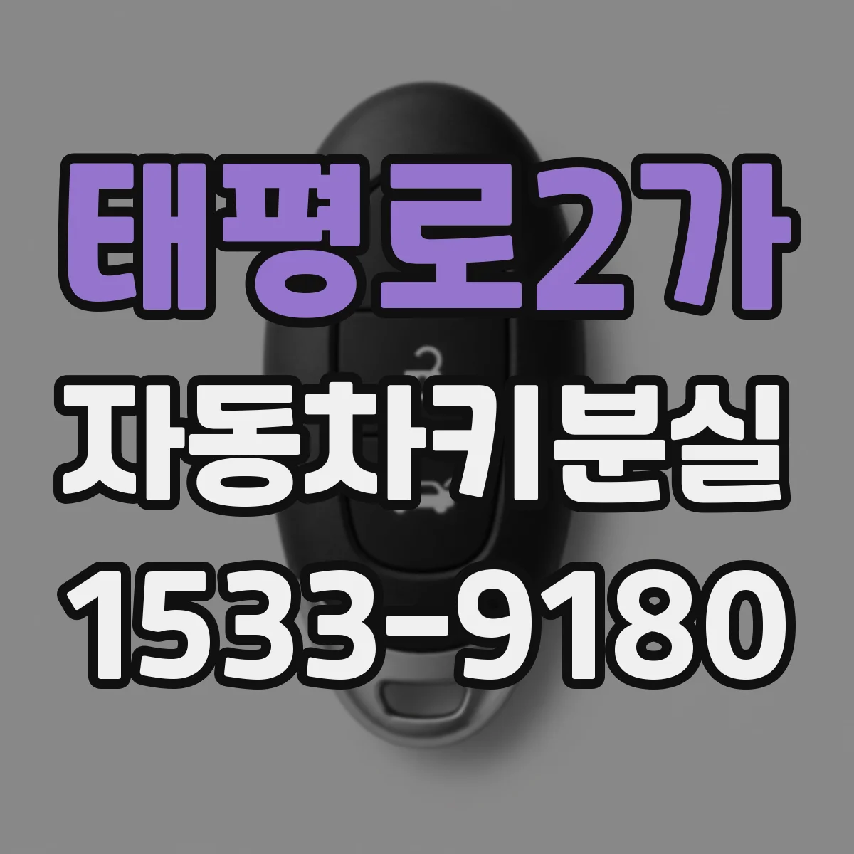 태평로2가 자동차키분실