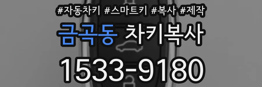 금곡동 차키복사