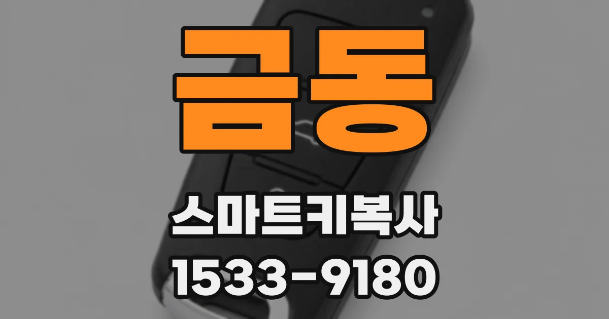 금동 스마트키복사