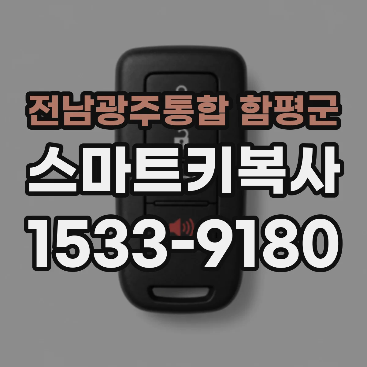 전남광주통합 함평군 스마트키복사