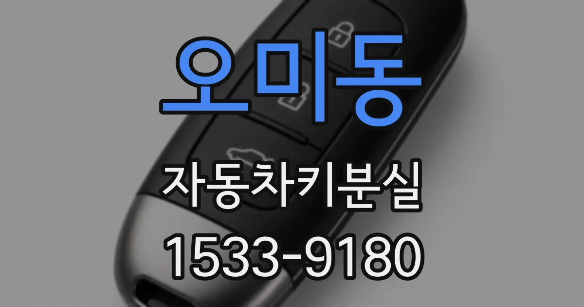 오미동 자동차키분실