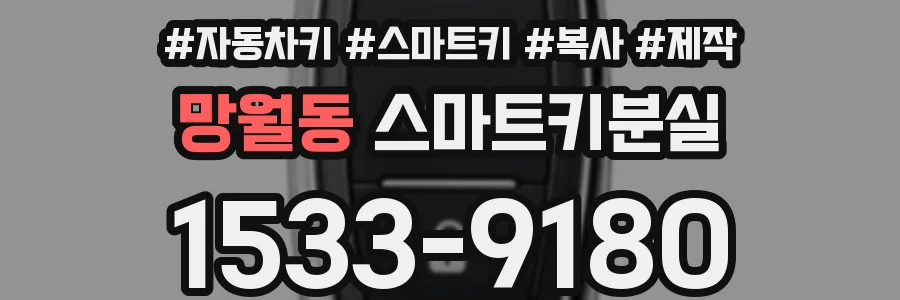 망월동 스마트키분실