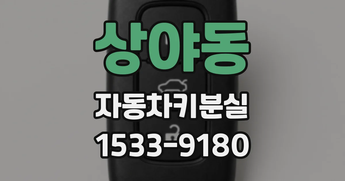상야동 자동차키분실