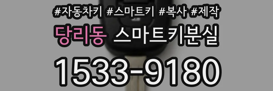 당리동 스마트키분실