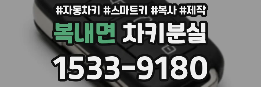 복내면 차키분실