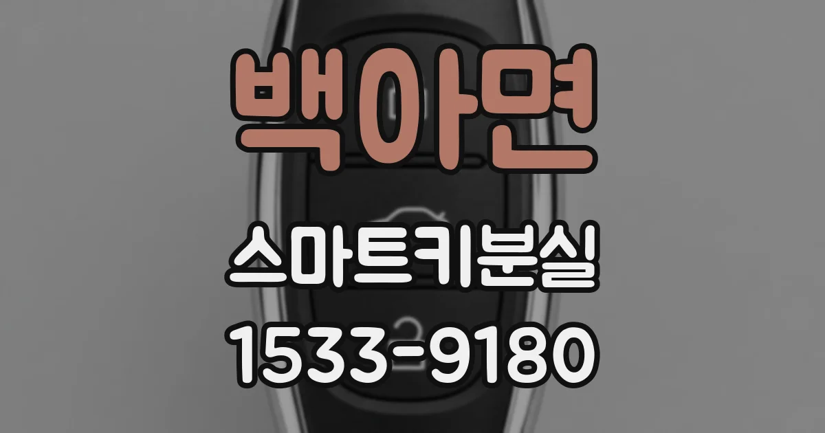 백아면 스마트키분실