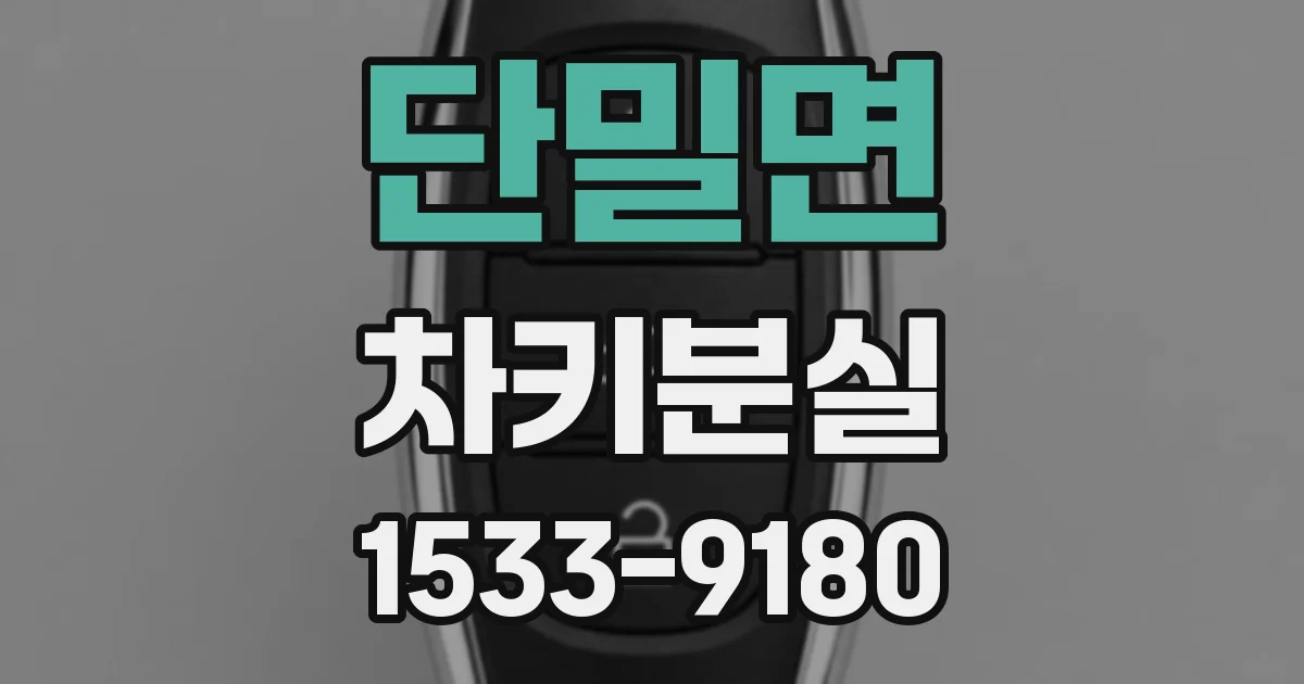 단밀면 차키분실