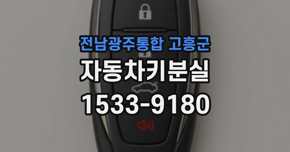 전남광주통합 고흥군 자동차키분실
