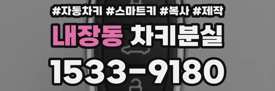 내장동 차키분실