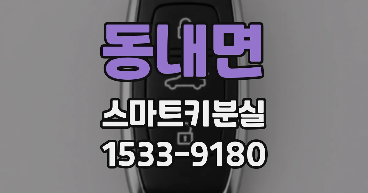 동내면 스마트키분실