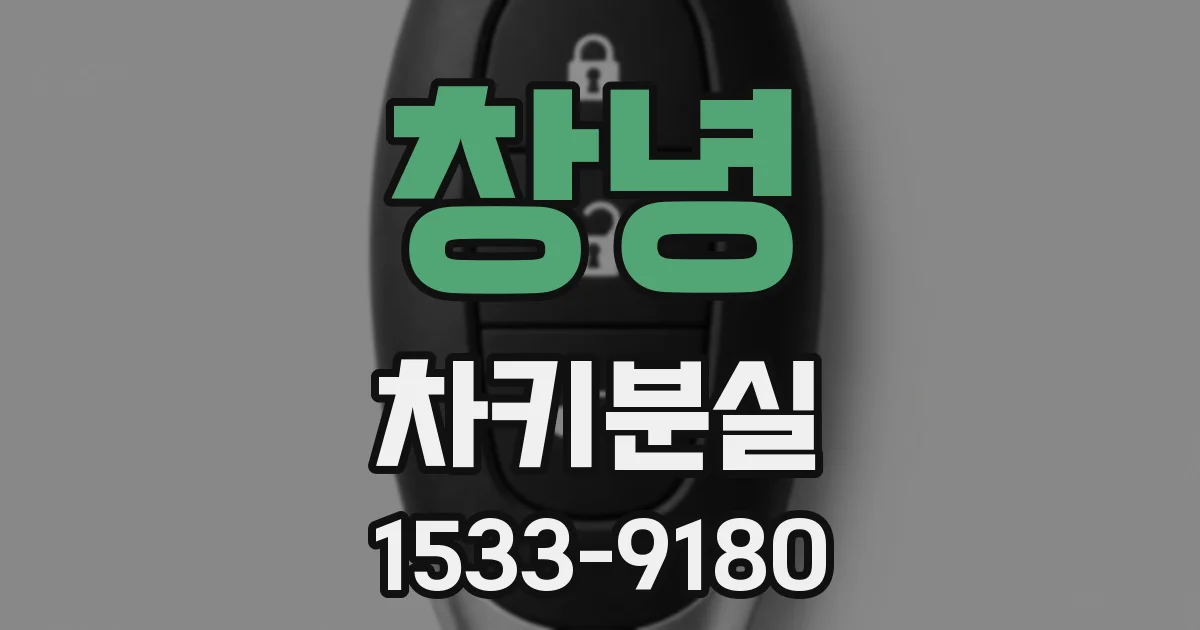 창녕 차키분실