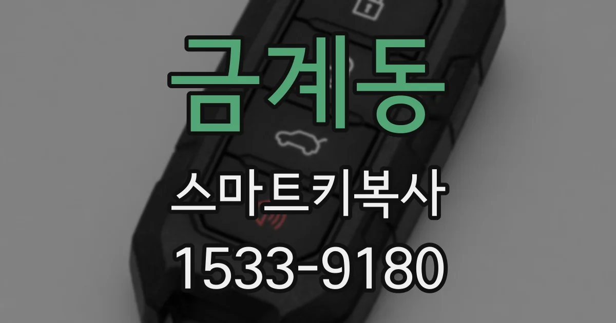 금계동 스마트키복사