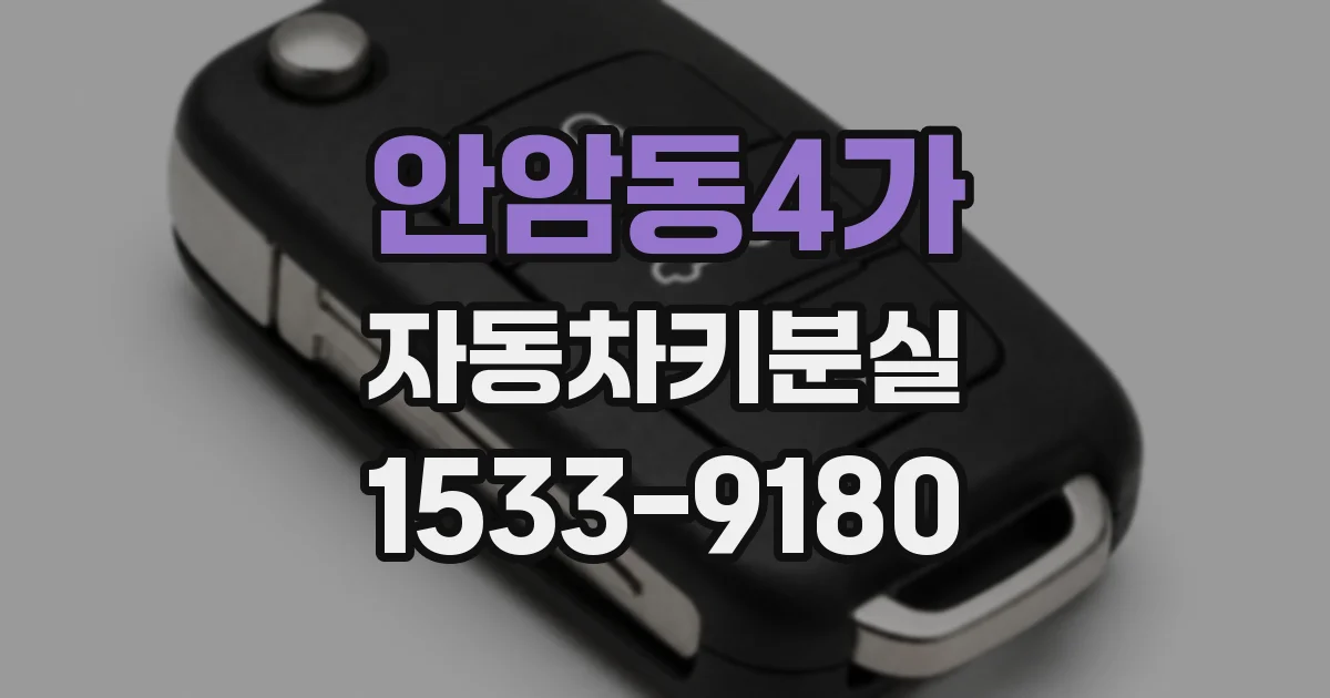 안암동4가 자동차키분실