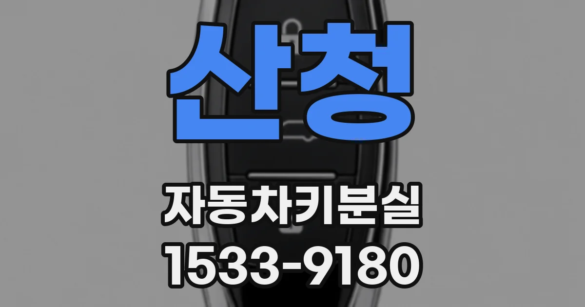 산청 자동차키분실