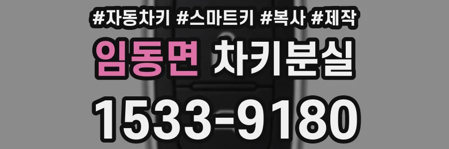 임동면 차키분실