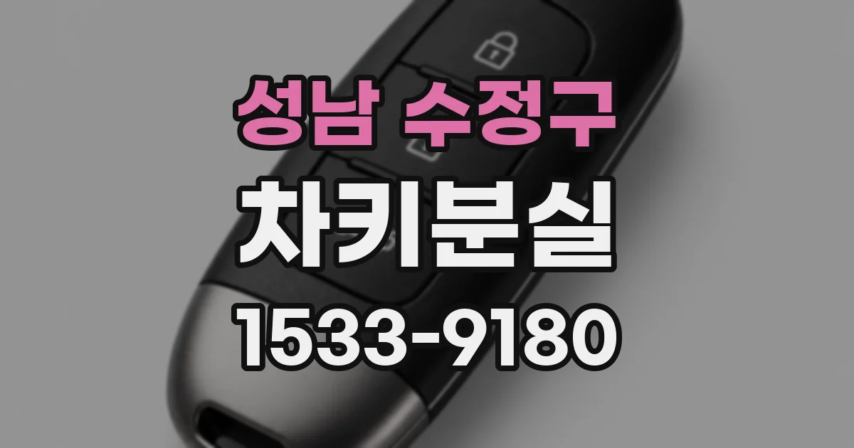 성남 수정구 차키분실