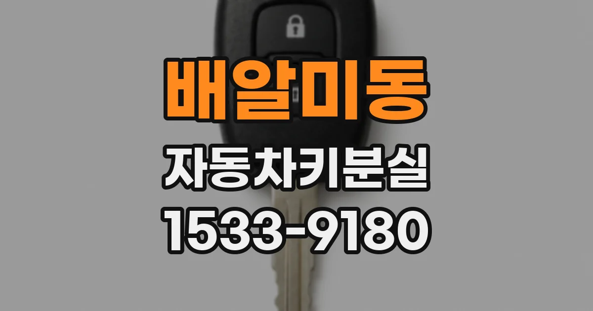 배알미동 자동차키분실