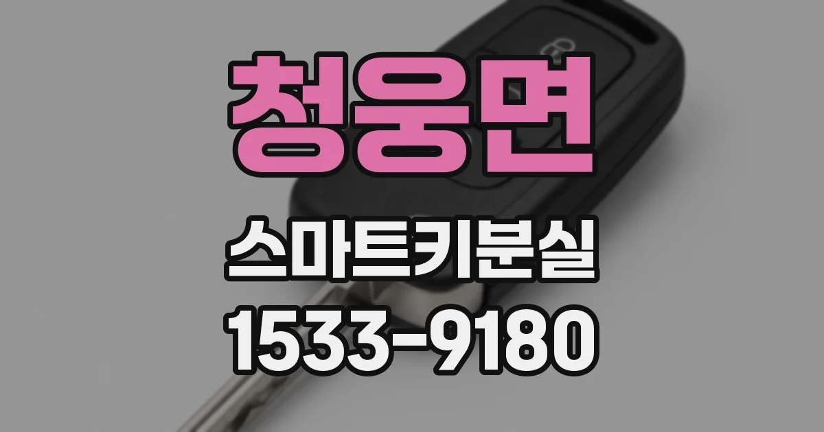 청웅면 스마트키분실