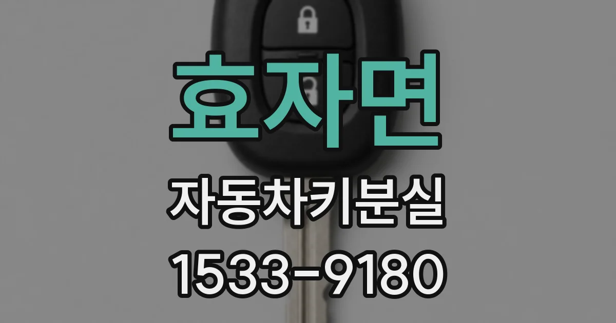 효자면 자동차키분실