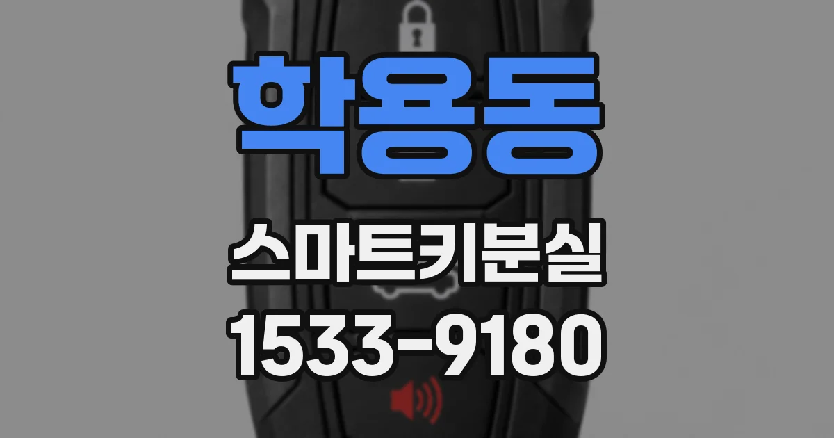 학용동 스마트키분실