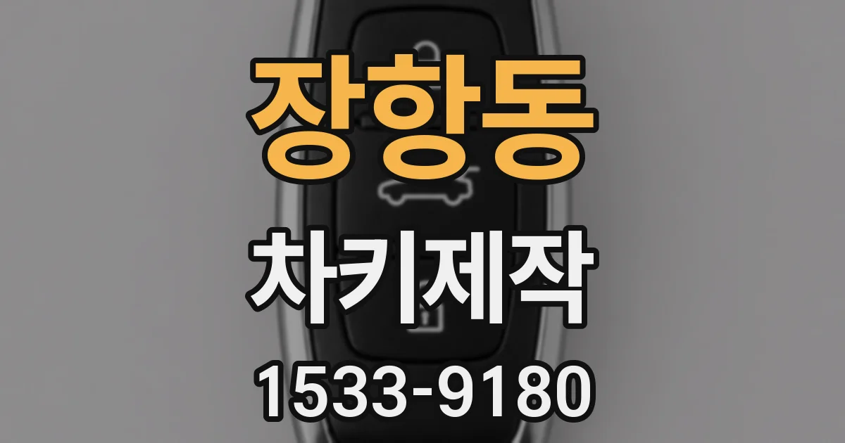 장항동 차키제작