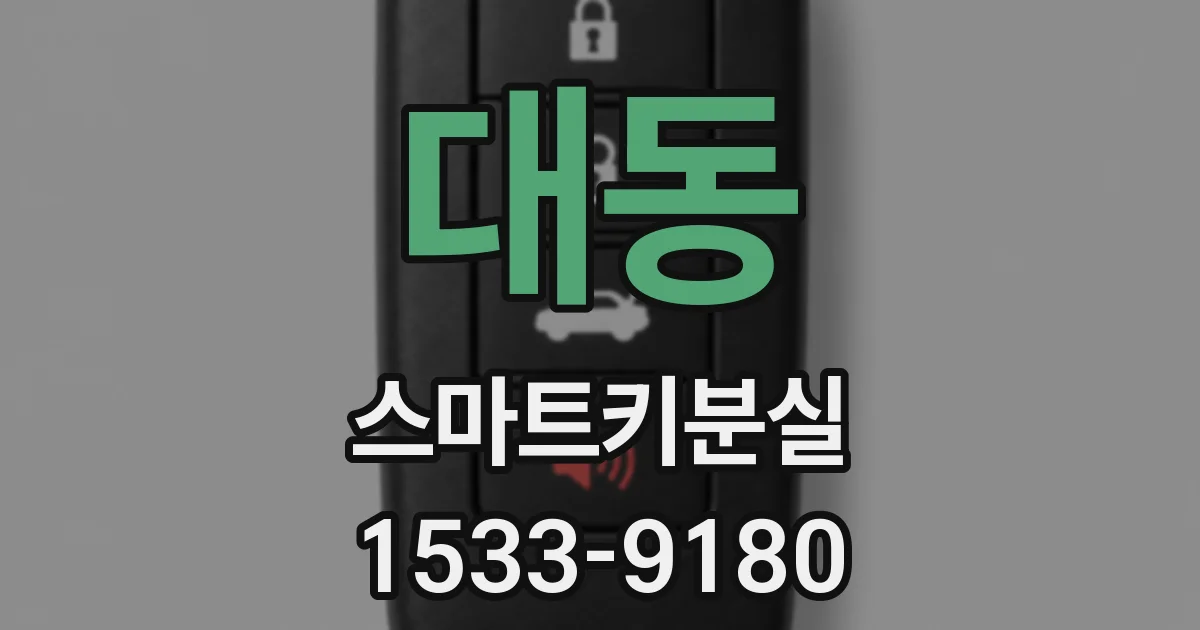 대동 스마트키분실