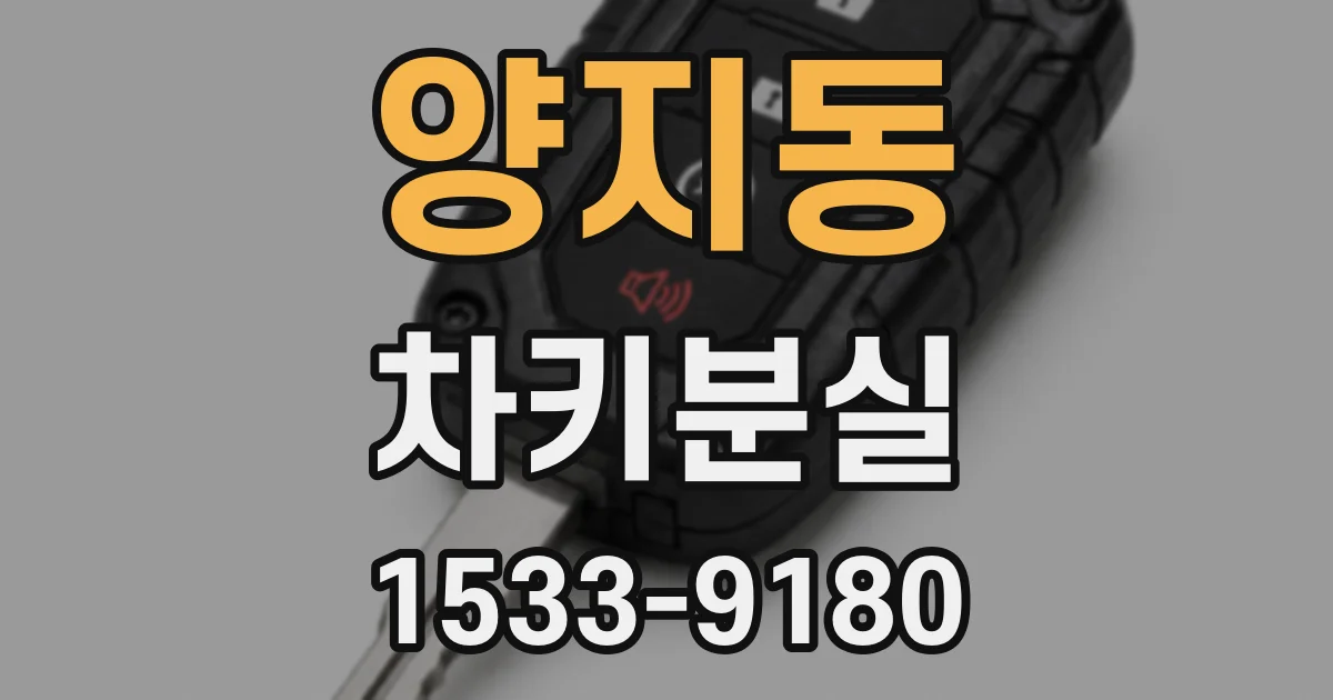 양지동 차키분실
