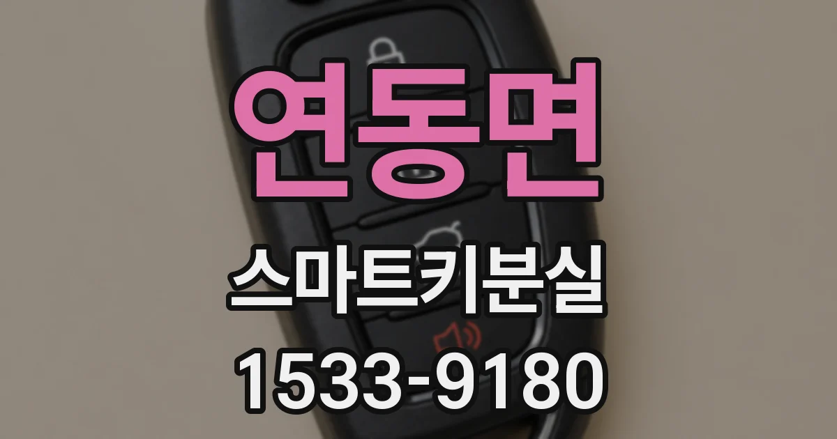 연동면 스마트키분실
