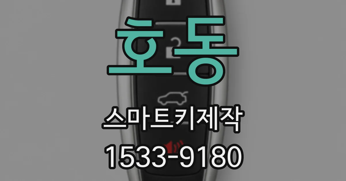 호동 스마트키제작