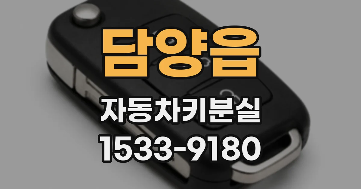 담양읍 자동차키분실