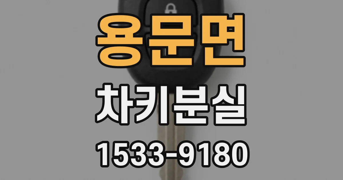 용문면 차키분실