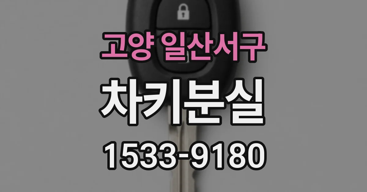 고양 일산서구 차키분실