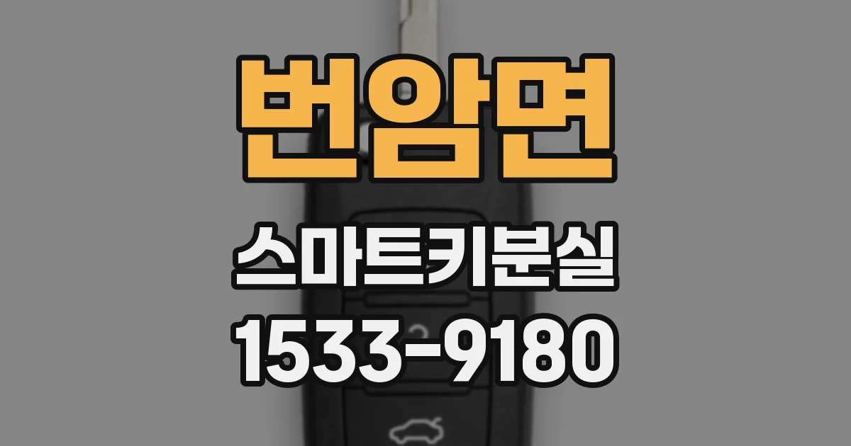번암면 스마트키분실