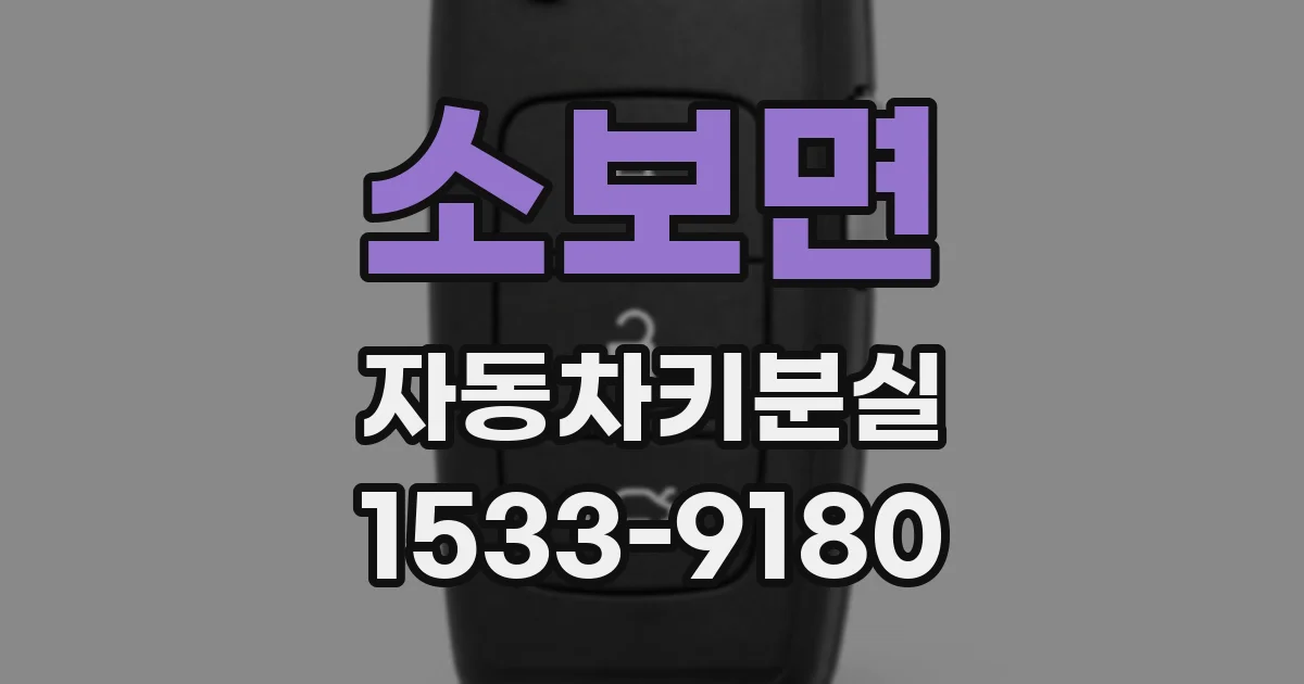 소보면 자동차키분실
