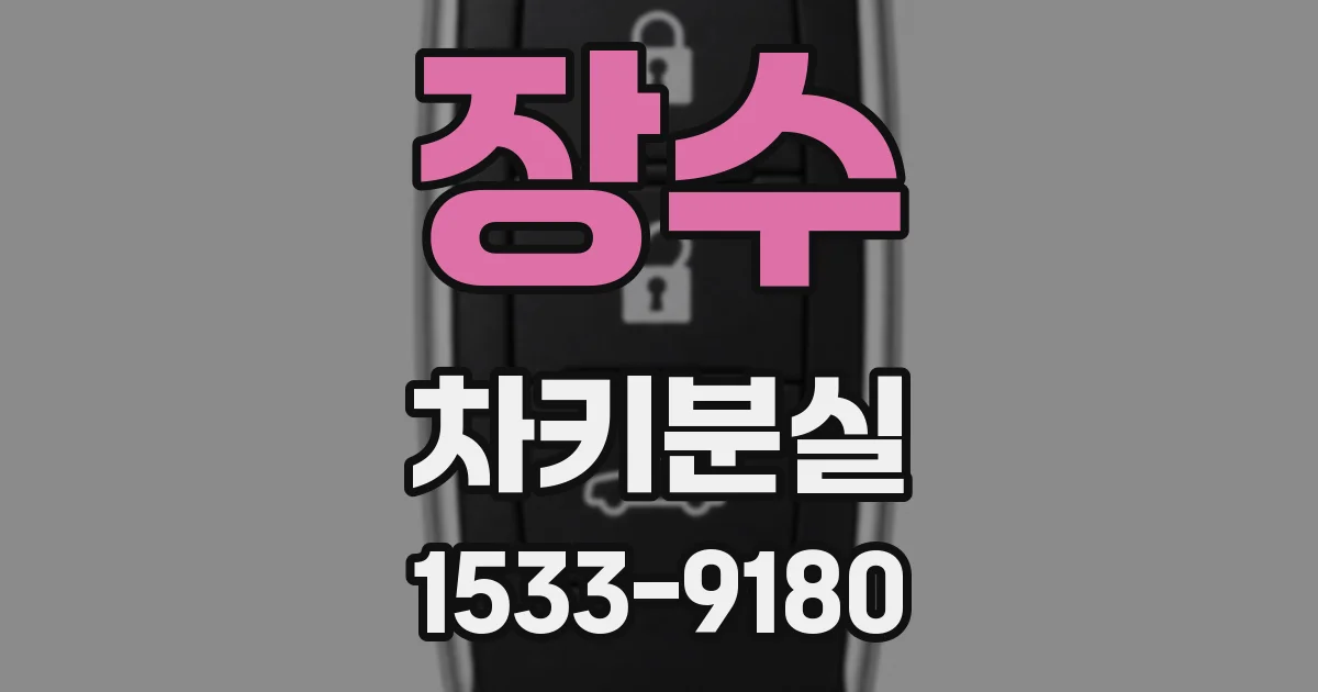 장수 차키분실