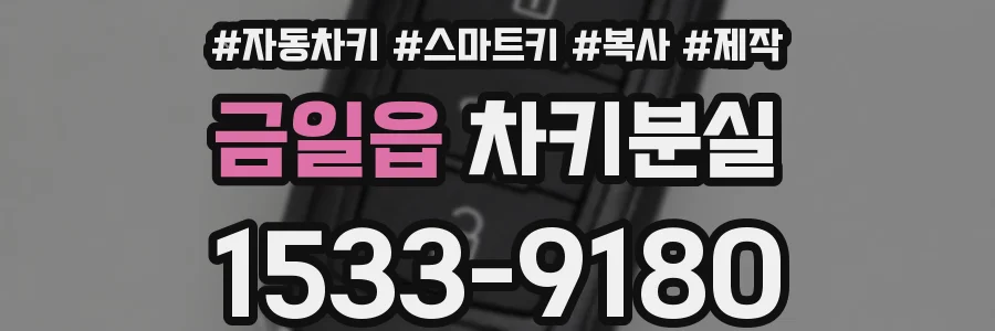 금일읍 차키분실