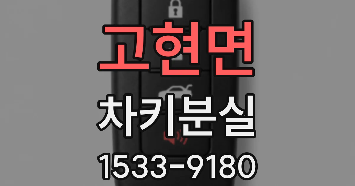 고현면 차키분실