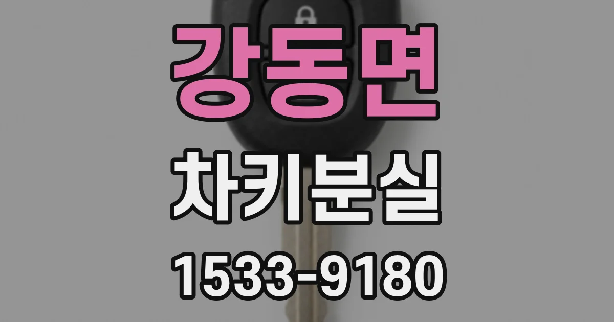 강동면 차키분실